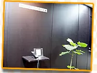 株式会社スカイネットモバイル