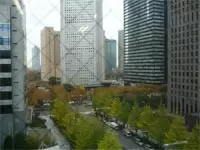 窓からはこんな景色が見えます。
