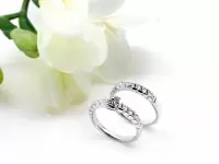 【Wedding Collection】