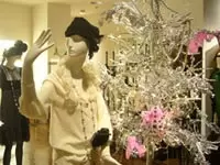 魔法の様にレースをあしらった服は多くの女性を魅了しています！