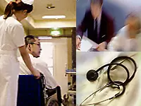 ダリ・マネージメント株式会社