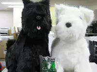 黒と白のテリアは、当社のマスコットキャラクターです☆