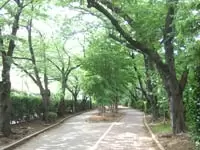 通勤ルート：晴れの日は歩いてマイナスイオンをたっぷり浴びてから出社♪