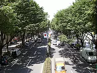 お昼は表参道で優雅にランチ♪