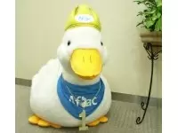 アヒルのキャラクターでおなじみのアフラック（アメリカンファミリー生命保険会社）のグループ企業です。