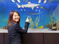 本社のエントランスには、アクアリウムが！色とりどりの魚が泳いでいます♪