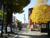 白金台と高輪台の間に位置するオフィス。緑が多く、気持ちのいい環境です。