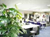 営業や企画部とも同じフロアなので、コミュニケーションはスムーズです！