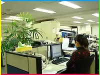 社内には緑も多く、働きやすい環境です。