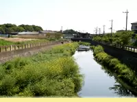 一歩外にでれば菜の花と青い空！豊かな自然が広がっています。