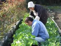 当施設自慢の自家菜園で採れた野菜は、新鮮なうちに入居者の朝食に【長生き邑】