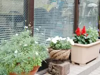 地域の皆さんが気軽に立ち寄れるアットホームな事業所を目指しています。