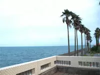 施設から一歩足を伸ばせば…逗子の海！