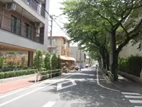 施設前の散歩道。春には桜が満開になります。