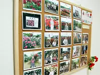 レクリエーションで撮影した写真などもフロアに展示されています。