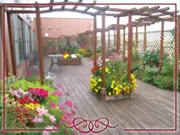 5Fにある屋上庭園。周りに高い建物がないため、晴れた日は広々として気持ちがいいんです！