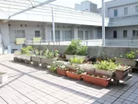 れいんぼう川崎の入居者の方々が手掛けたガーデニング。春には色とりどりの花が咲き誇ります
