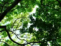 お客様の気持ちを理解した暖かみのある事業所です。