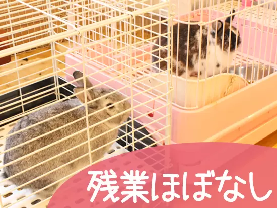 入り口のロビーではウサギの令(れい君)、和(なごみちゃん)、ゴマちゃんがお出迎えしています。