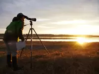 北海道での調査風景：野鳥保護のために、野鳥の会一同が協力しあっています。