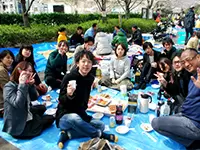 先日開催した花見での一枚。部署、世代を問わず、仲が良いのが特徴です。