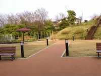 リハビリ庭園では野菜や花も育てています。収穫時には患者様も大活躍♪