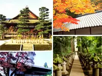 若者にも注目を集めている寺院のプロジェクト支援を実施しています。