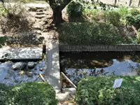 施設の近くには小川が静かに流れています。ご利用者様とここに訪れて癒されることも、介護の1つです。
