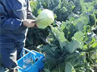 「直営農園」で生産された新鮮で安全な無添加食材でほぼ100％自給