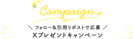 Campaign