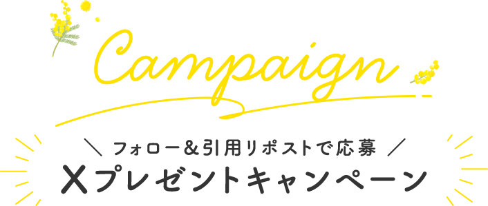 Campaign