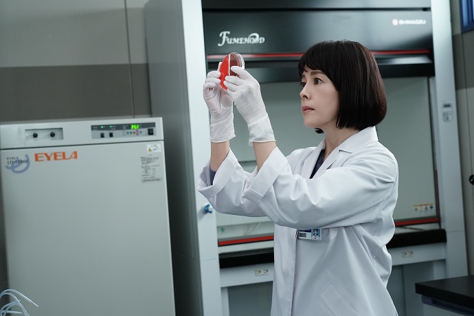 科捜研の女