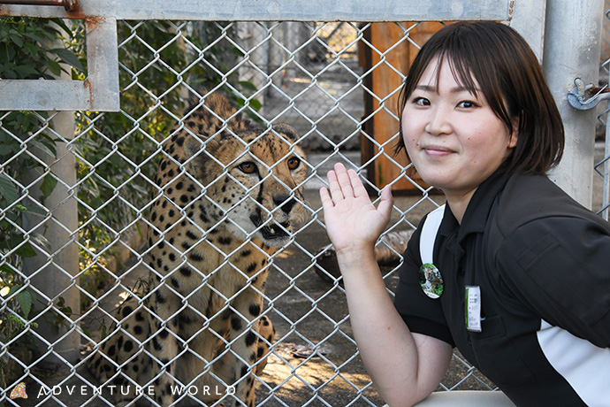 和歌山・アドベンチャーワールド「チーターの赤ちゃん6匹誕生」...