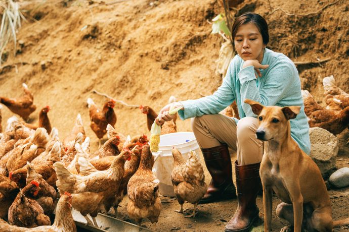 きつねの置物の写真