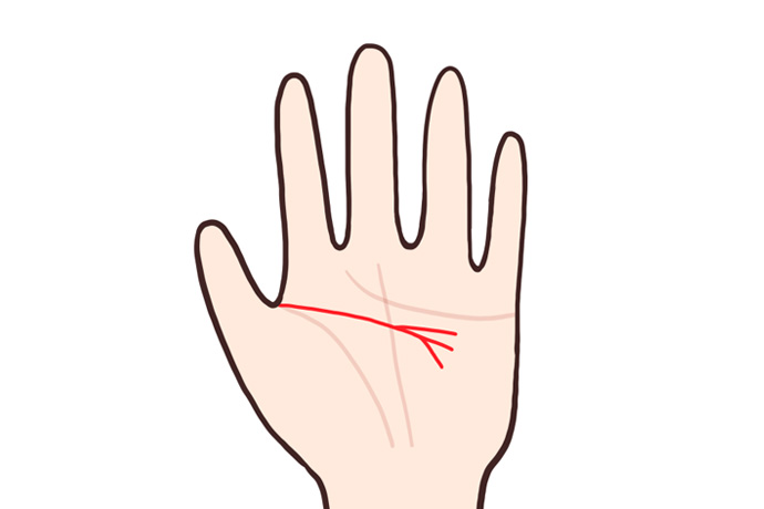 枝分かれしている頭脳線を示す手相のイラスト