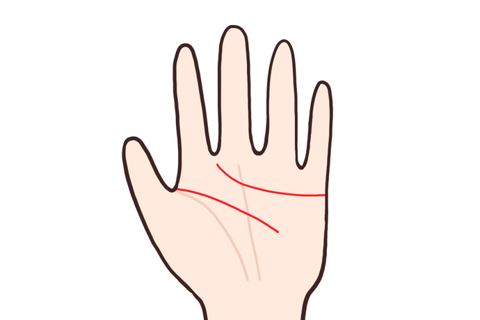 感情線と生命線の幅を示す手相のイラスト