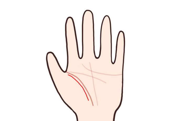 二重生命線を示す手相のイラスト